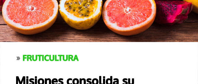 Misiones consolida su fruticultura y proyecta un 2026 con más innovación, mercados y valor agregado