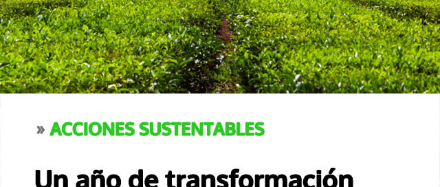Acciones sustentables: un año de transformación productiva con impacto ambiental, social y económico