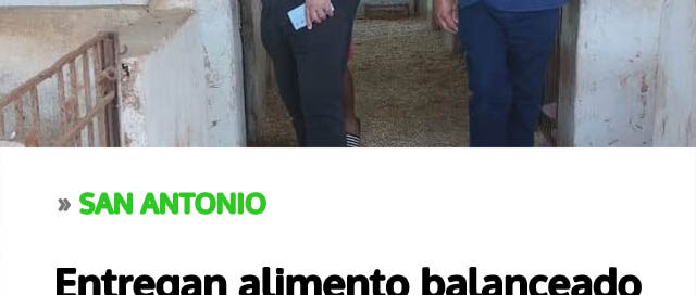 Producción porcina: entregan alimento balanceado para evaluar competitividad frente a productos importados