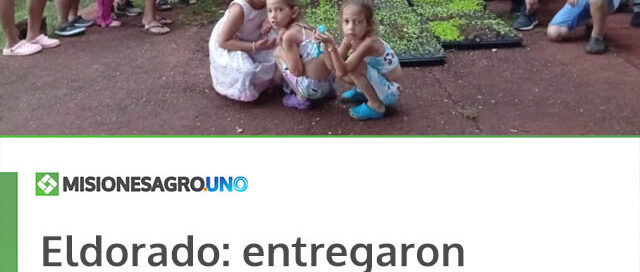 Eldorado: entregaron bandejas familiares del programa Huerta en tu Barrio en el barrio Juventud