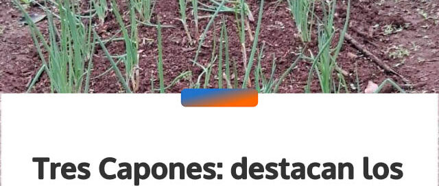 Tres Capones: destacan los resultados de las huertas familiares con kits de semillas