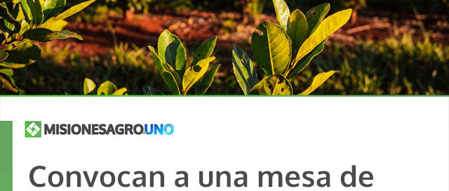Convocan a una mesa de trabajo yerbatera para analizar la situación del sector