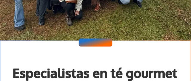 Especialistas en té gourmet recorrieron una plantación de Iguazú Infusiones en Colonia Alberdi