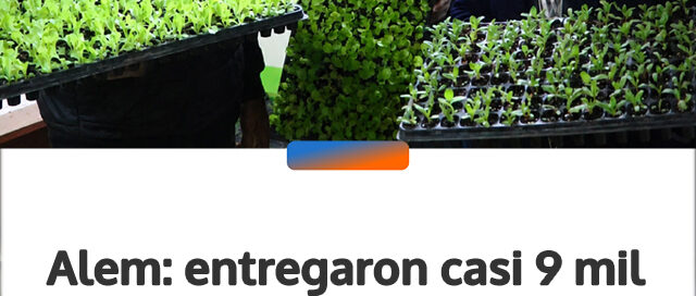 Alem: entregaron casi 9 mil plantines para fortalecer la producción agropecuaria local