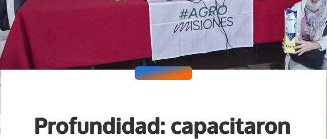 Profundidad: capacitaron a más de 40 productores sobre manejo de abejas y producción de miel
