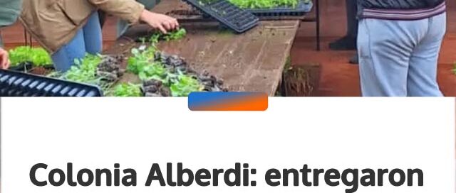 Colonia Alberdi: entregaron plantines de hortalizas a 75 familias para fomentar las huertas familiares