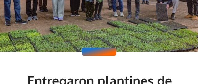 Entregaron plantines de verduras a productores de Almafuerte para fortalecer los cultivos locales